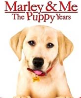 Marley & Me: The Puppy Years /    2